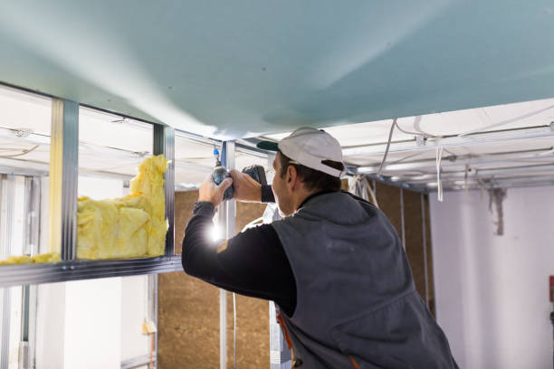 Best Insulation Contractors for Homes  in Shelton, NE