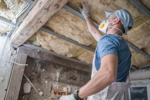 Best Soundproof Insulation Installation  in Shelton, NE