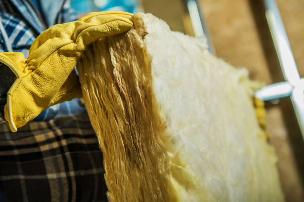 Best Garage Insulation Installation  in Shelton, NE