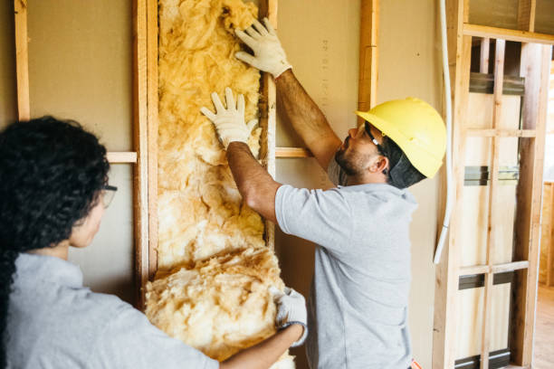 Best Wall Insulation Contractor  in Shelton, NE
