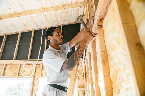 Best Attic Insulation Installation  in Shelton, NE