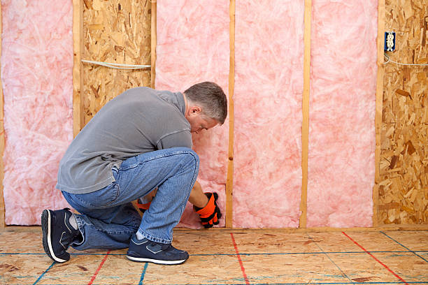 Best Insulation Replacement Services  in Shelton, NE