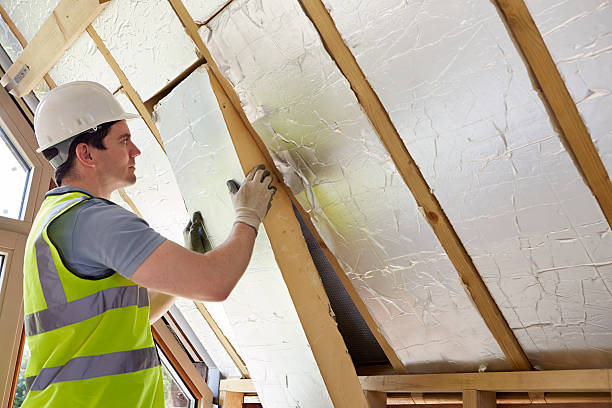 Best Insulation Replacement Services  in Shelton, NE