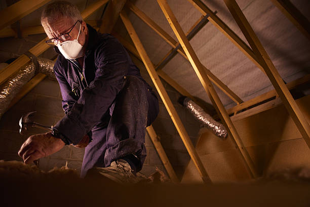 Best Energy-efficient Insulation  in Shelton, NE